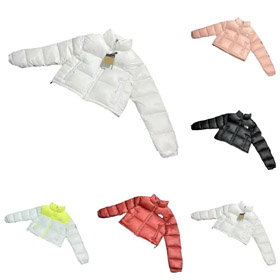 NORTH FACE Nuptse szycie list haftowanie stojąc kołnierz krótki chleb długi rękaw kurtka-4268  